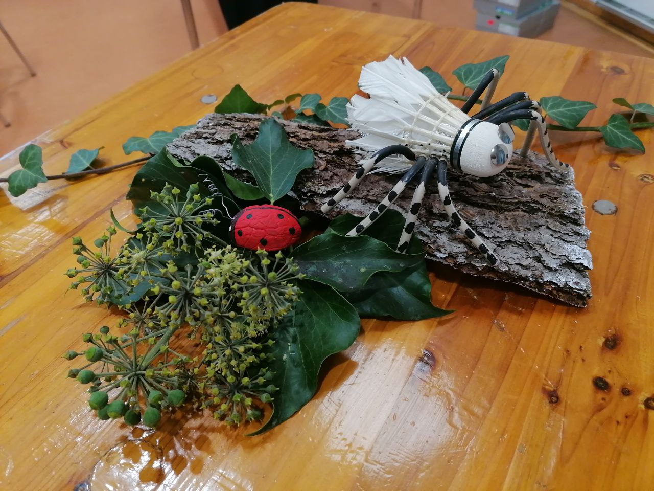 ordinre Spinne Badmintonus.jpg